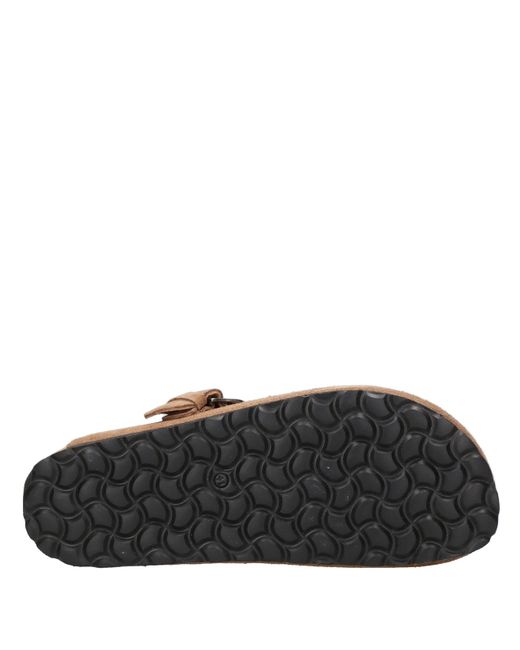 Taji Brown Sandals
