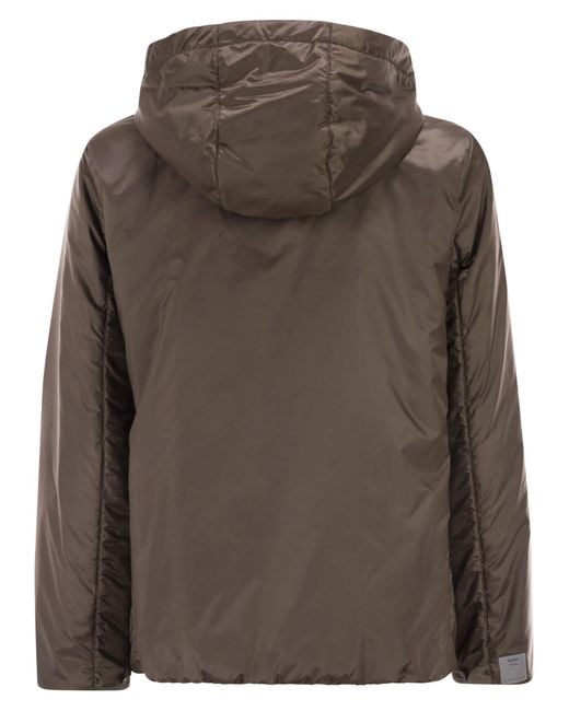 Max Mara Brown Greenh