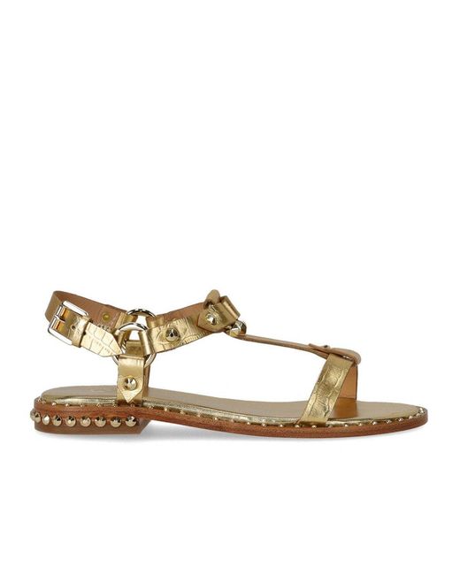 Ash Metallic Patsy Flat Sandal