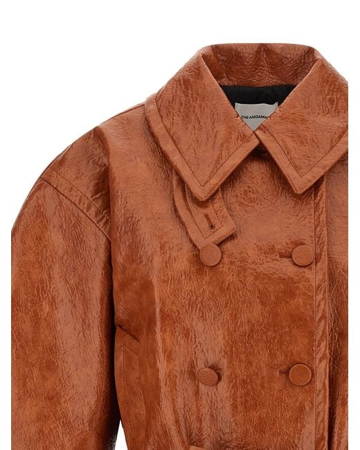 ANDAMANE Brown Zarina Coats And Trench Coats