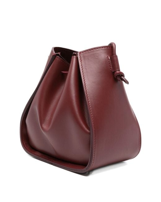 Forte_forte Purple Secchiello Piccolo
