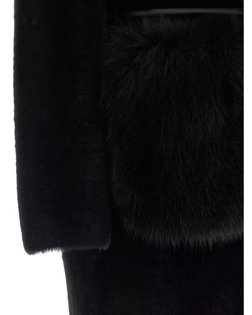 Blancha Black 'Merino gerade Volpe' Fell
