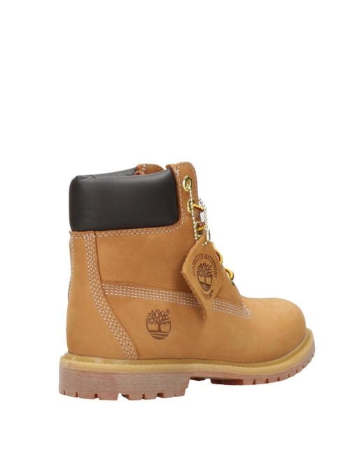 Timberland Brown Boots