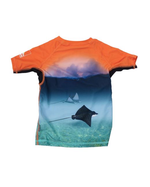 Molo Blue Neptune T Shirts & Tops