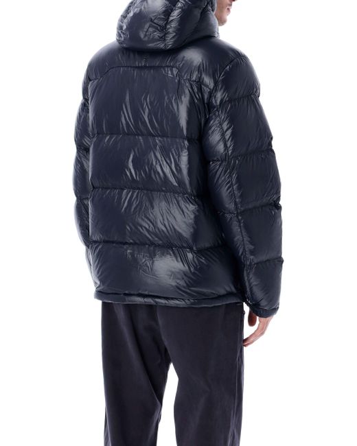 Polo Ralph Lauren Blue Coats