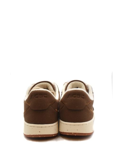 Acbc Brown Sneakers