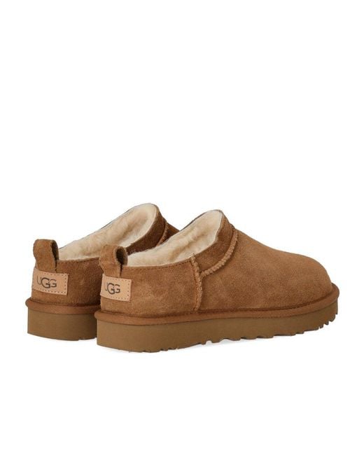 Ugg Brown Classic Micro Chestnut Boot