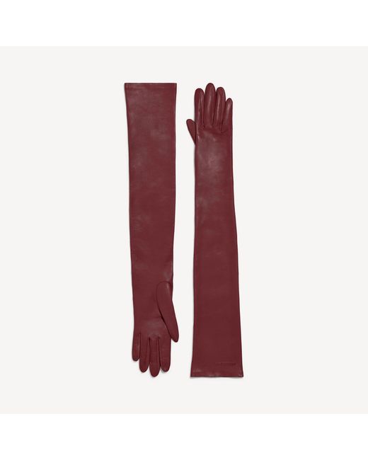Balenciaga Red Long Gloves