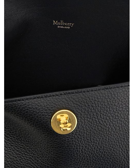 Mulberry Black Beauty 'Darley'