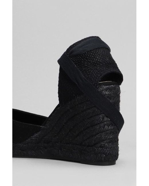 Castaner Black Carina C-8-001 Wedges