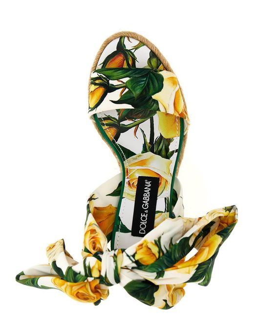 Dolce & Gabbana Green Floral Print Wedges