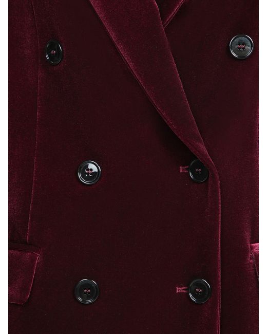 C P Company Purple Jackets