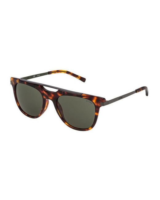 Sting Brown Sunglasses for men