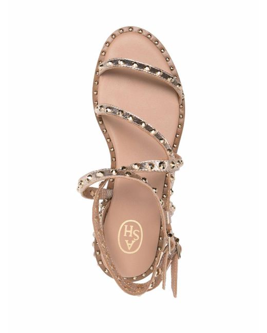 ash play bis studded sandal
