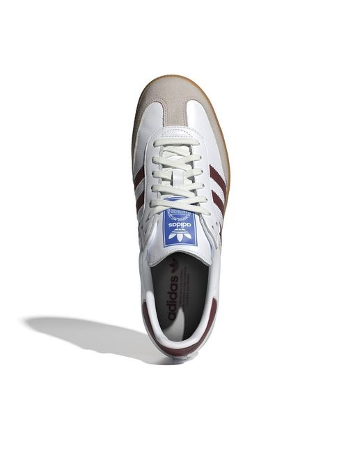 Adidas Originals White Sneakers 2