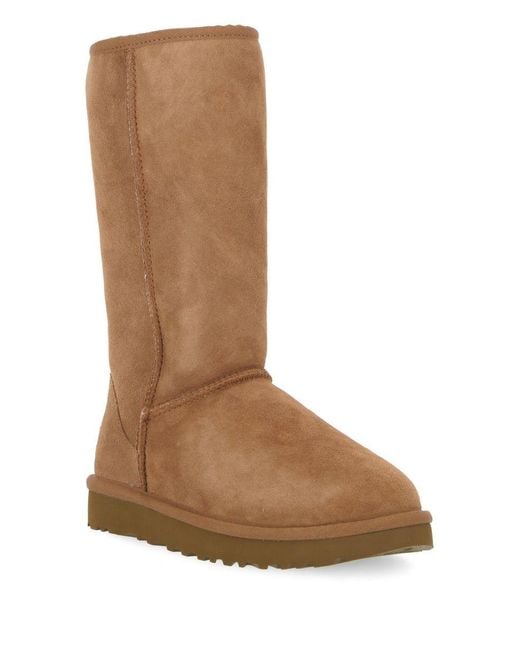Ugg Brown Boots