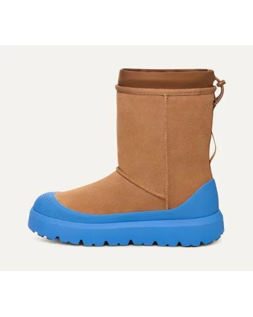 Ugg Blue "Classic Short Weather Hybrid" Ankle Boots for men