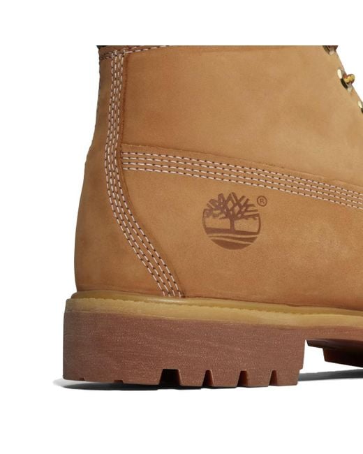 Timberland Brown Premium 6 Inch Lace Up Waterproof Boot for men