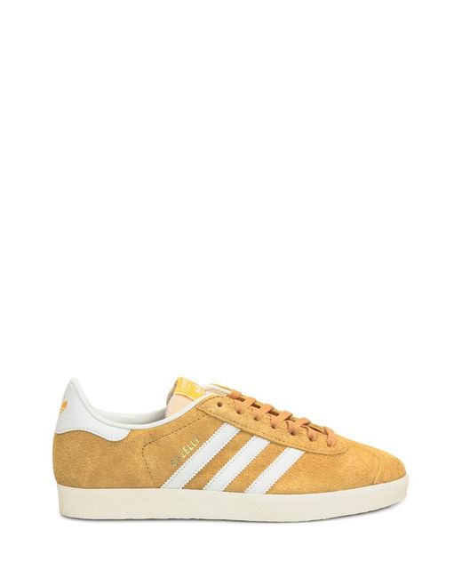 Adidas Originals Natural Gazelle Sneaker for men