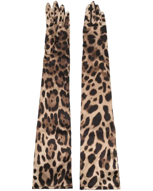 Dolce & Gabbana Brown Leopard Print Silk Gloves