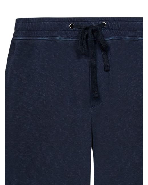 James Perse Blue Shorts for men