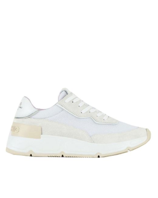 Pànchic White Suede And Leather Mesh Sneaker Shoes