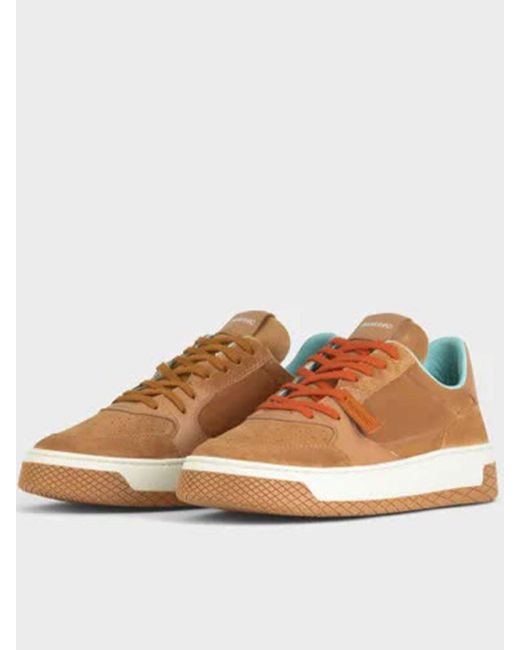 Pànchic Brown Low-top Suede And Leather Sneaker Shoes for men