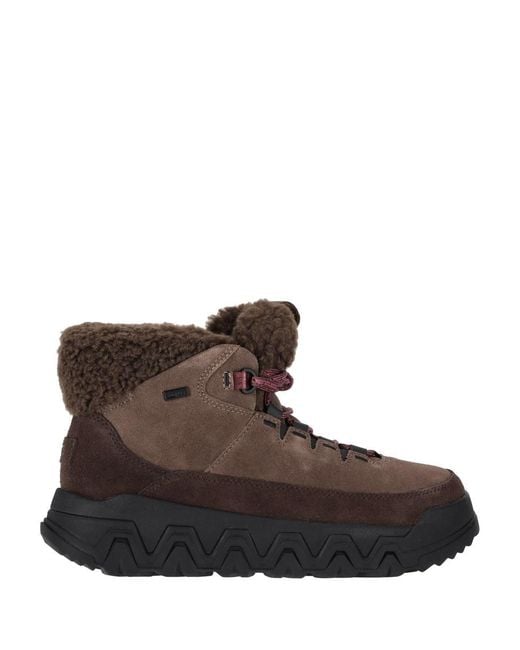Ugg Brown W Terretrail Cozy Lace