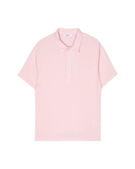 GIMAGUAS Pink Sweaters for men