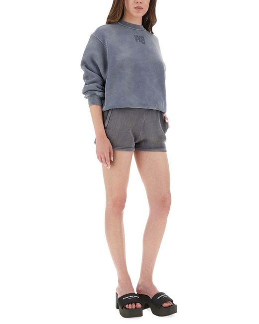 Alexander Wang Blue Sweaters