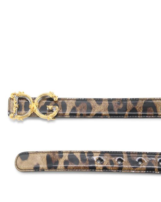 Dolce & Gabbana Natural Belts