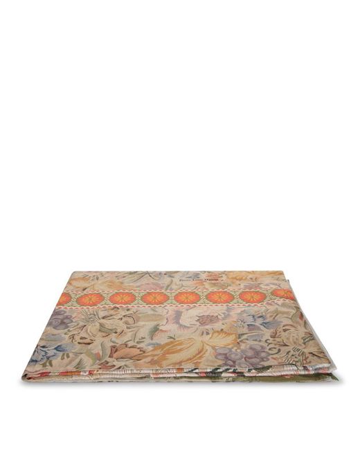 Pierre Louis Mascia Natural Scarves