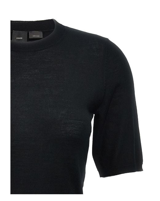 Pinko Black 'Graspo' Sweater