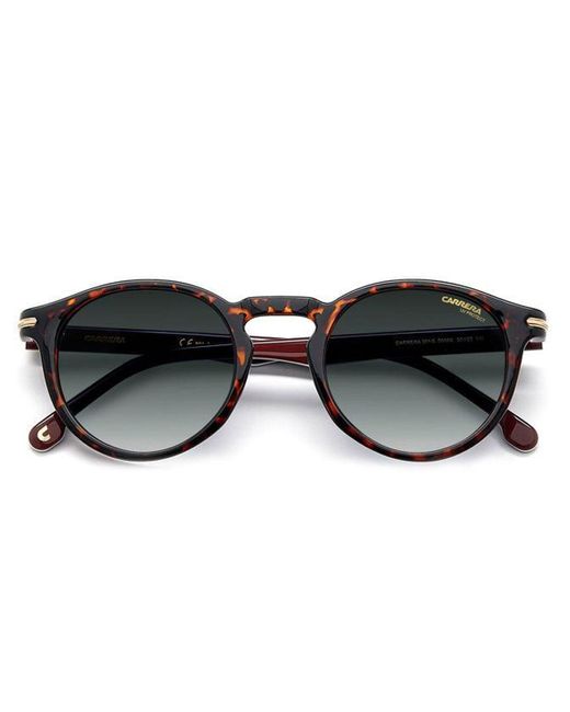 Carrera Brown Sunglasses