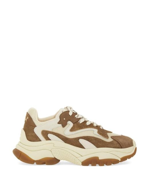 Ash Natural Sneaker "Addict"