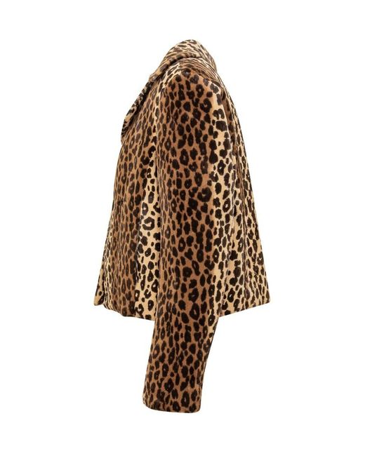 Serafini leopard clearance