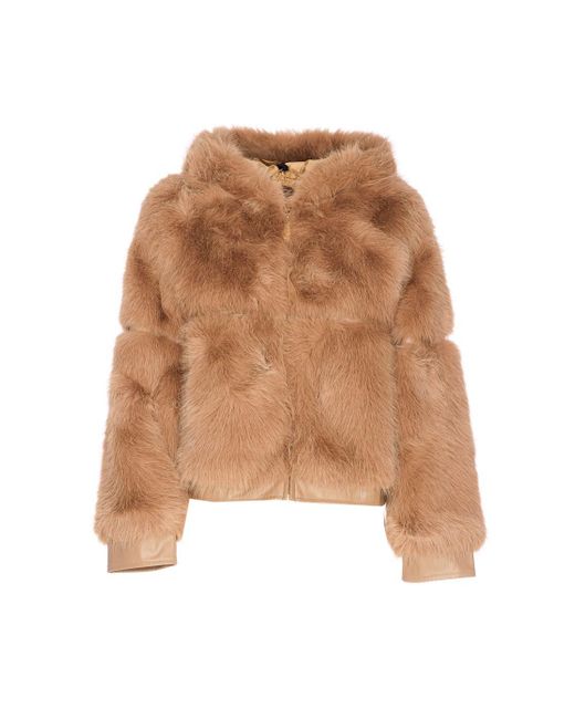 V73 Brown Jackets