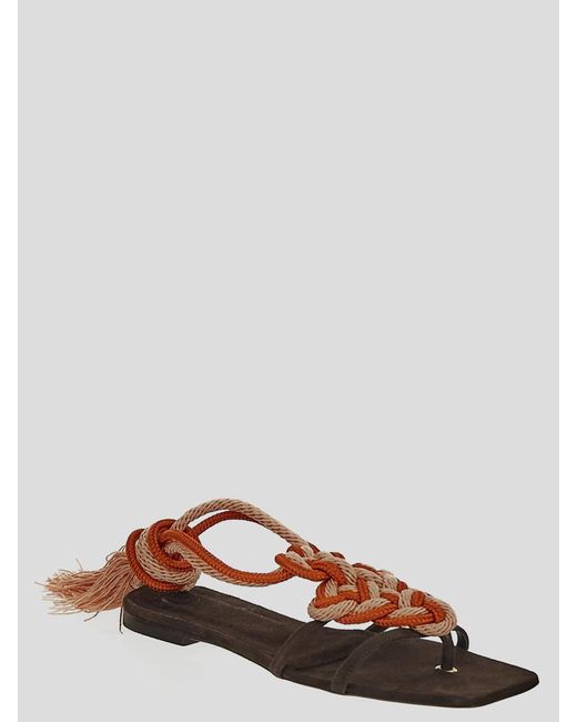 Clove Brown Sandals