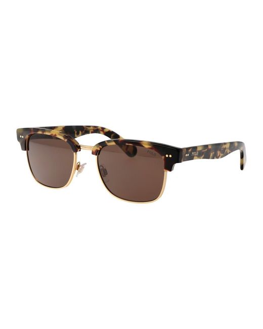 Polo Ralph Lauren Brown Sunglasses for men