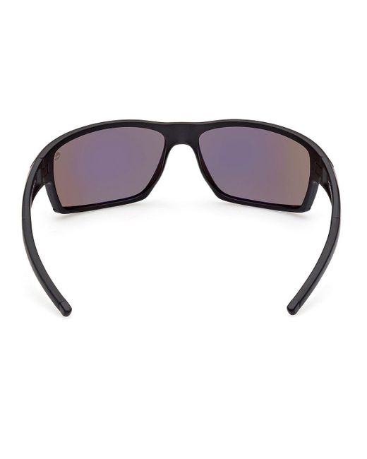 Timberland Blue Sunglasses