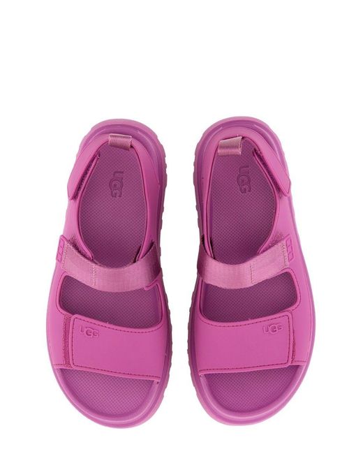 Ugg Purple Sandals