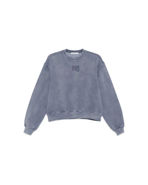Alexander Wang Blue Sweaters