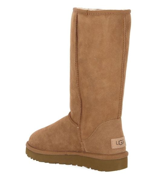 Ugg Brown Boots