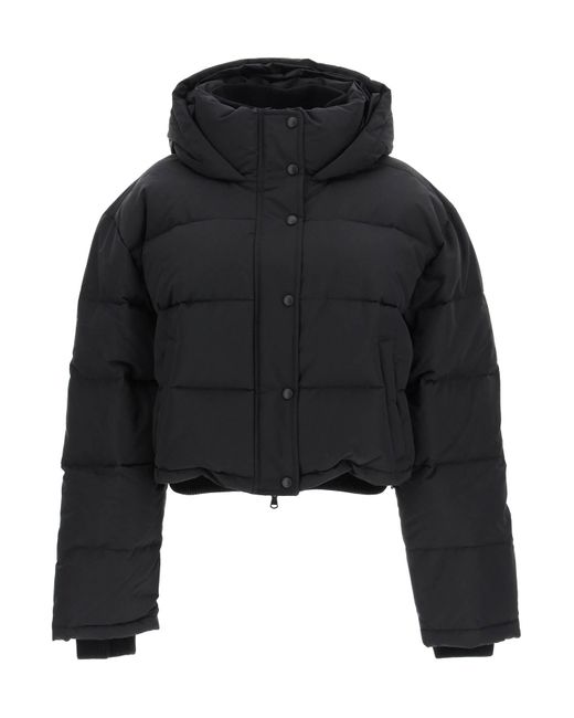 Wardrobe NYC Synthetic Cropped Puffer Jacket in Black | Lyst