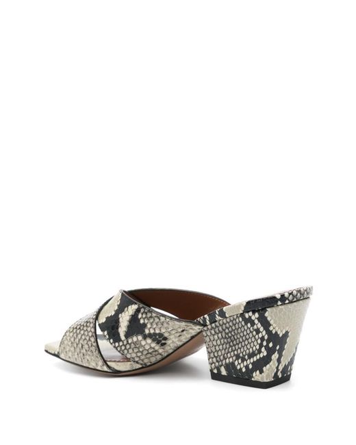 Paris Texas Gray Sandals