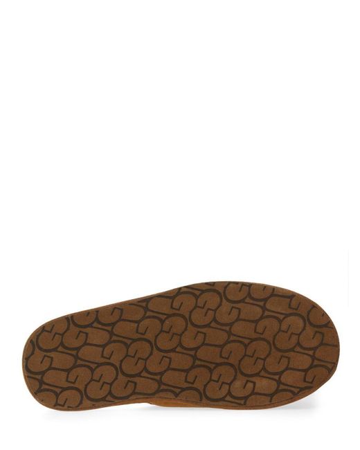 Ugg Brown Slippers "Scuff" for men
