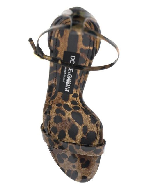Dolce & Gabbana Brown Leopard Print Glossy Leather Sandals