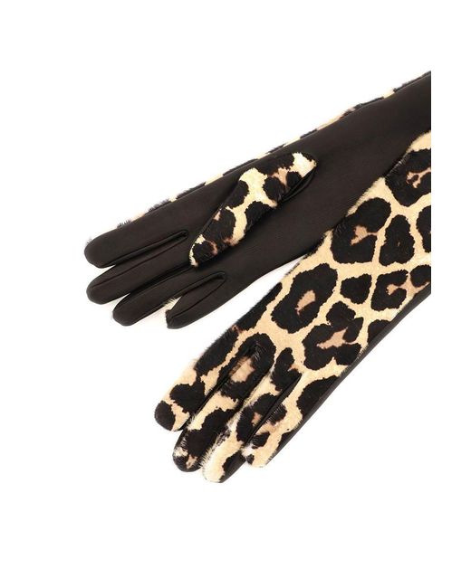 Dries Van Noten Black Leopard-Print Calf Hair Gloves