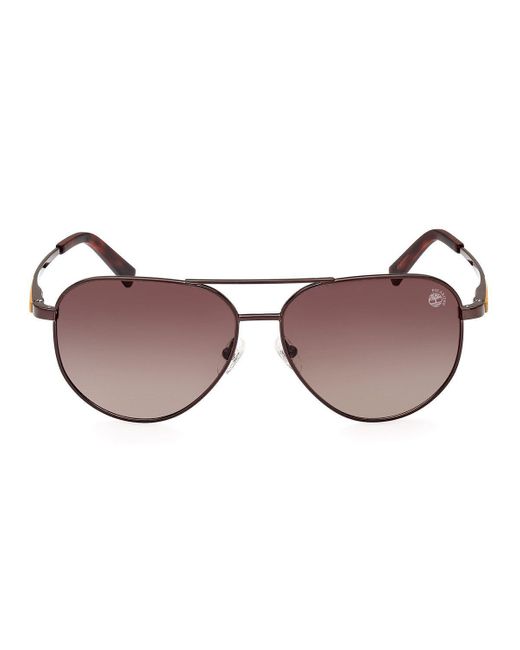 Timberland Brown Sunglasses