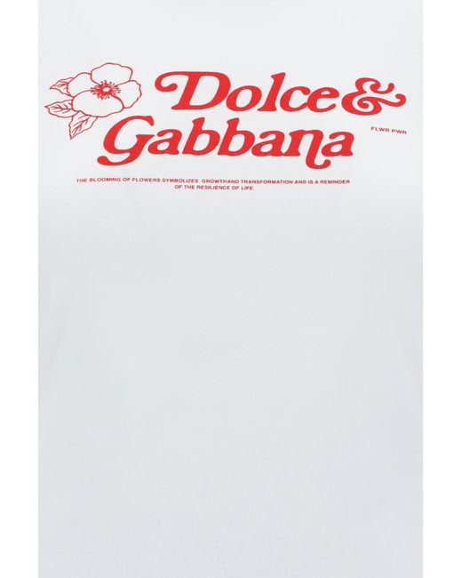 Dolce & Gabbana Gray T-Shirts